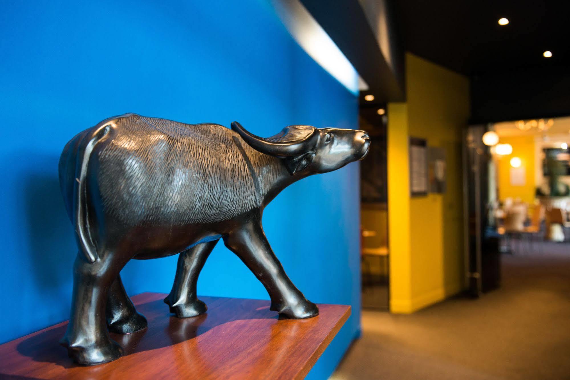 Black Buffalo Hobart Dış mekan fotoğraf